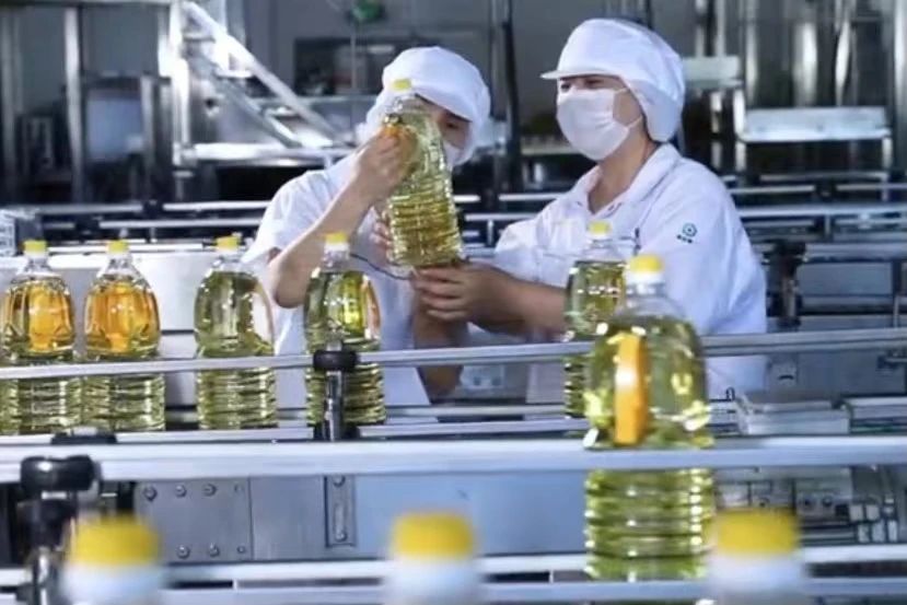 乐动·LDSports(中国)体育官方网站