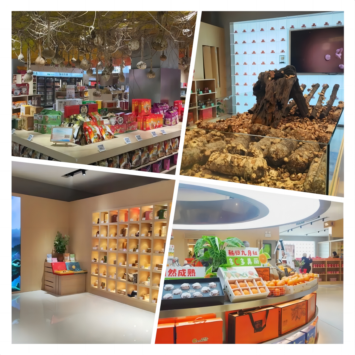 乐动·LDSports(中国)体育官方网站