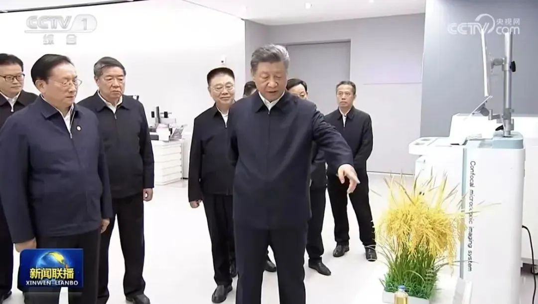 乐动·LDSports(中国)体育官方网站