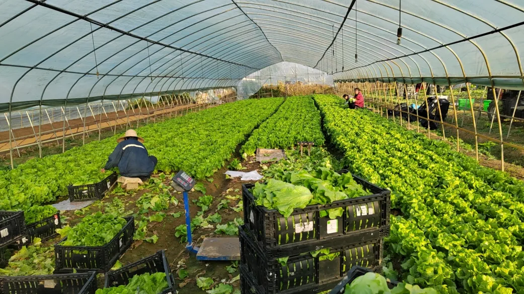 乐动·LDSports(中国)体育官方网站