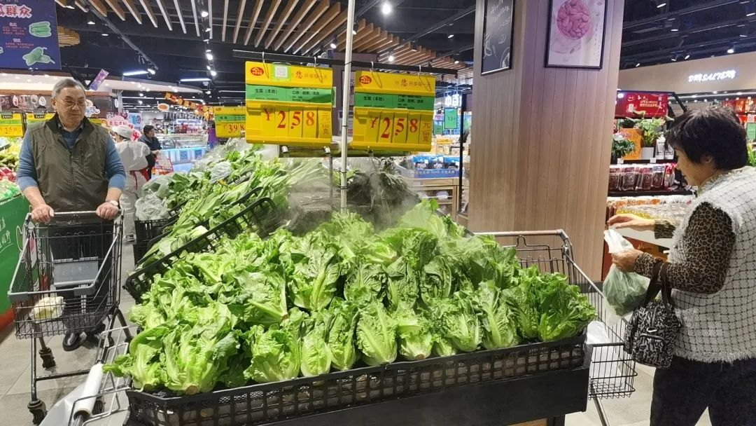 乐动·LDSports(中国)体育官方网站